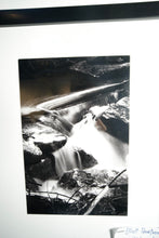Load image into Gallery viewer, Elliott Pearltree - Waterworks
