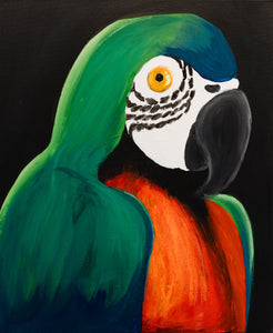 Catalina Macaw by Mordecai L.