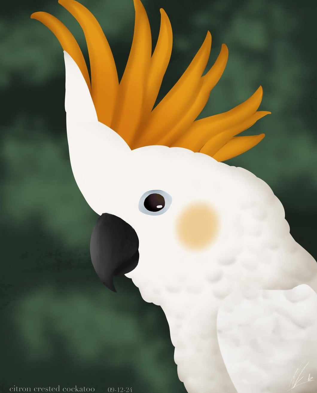 Citron-Crested Cockatoo by Mordecai L.