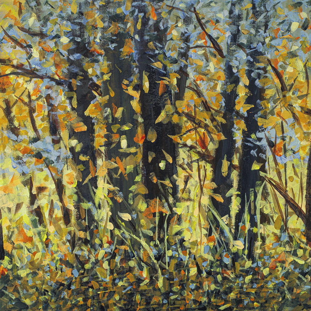 CONGREGATION by Robin Sawyer