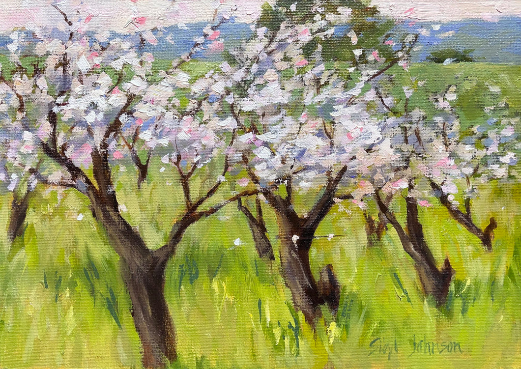 A Spring Orchard by Sibyl Johnson