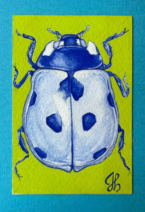 Ladybug by Julia Blakely