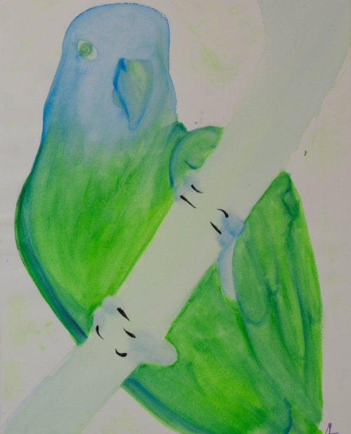 Blue crowned pionus by Mordecai Lutes