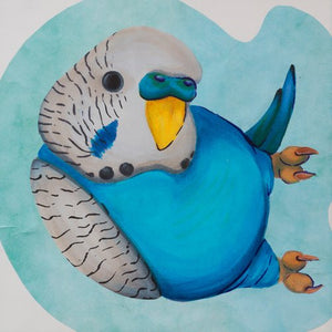 Blue budgie by Mordecai Lutes