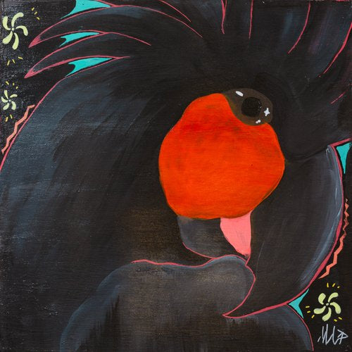 Palm cockatoo by Mordecai Lutes