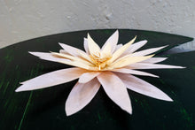 Load image into Gallery viewer, Water Lily by Helena Miller
