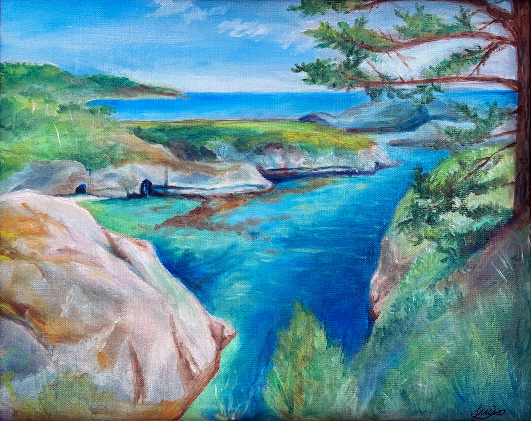 Point Lobos by Lucia Rodger