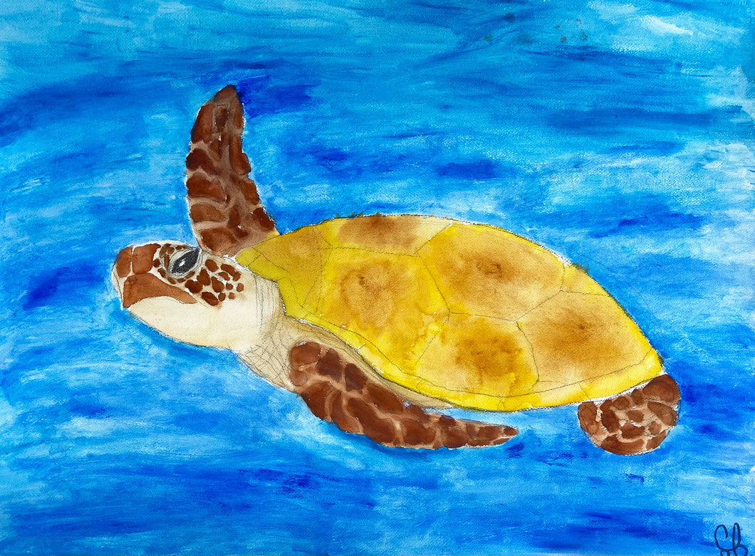 The Grace of a Sea Turtle by Sam Boothe