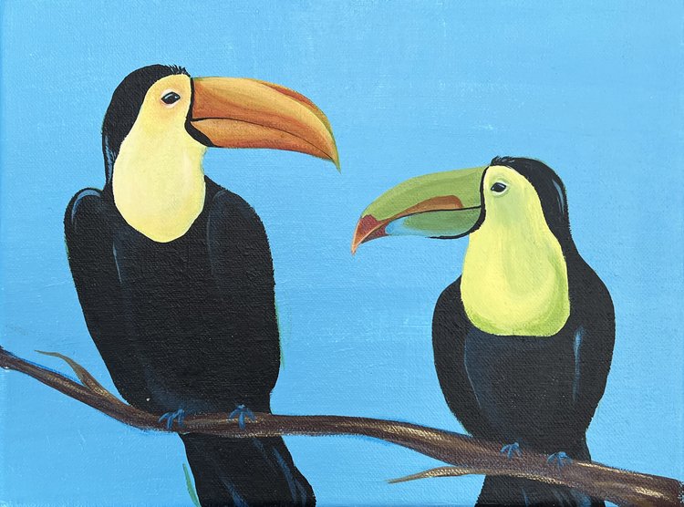 Toucans by Amanda Cusenza