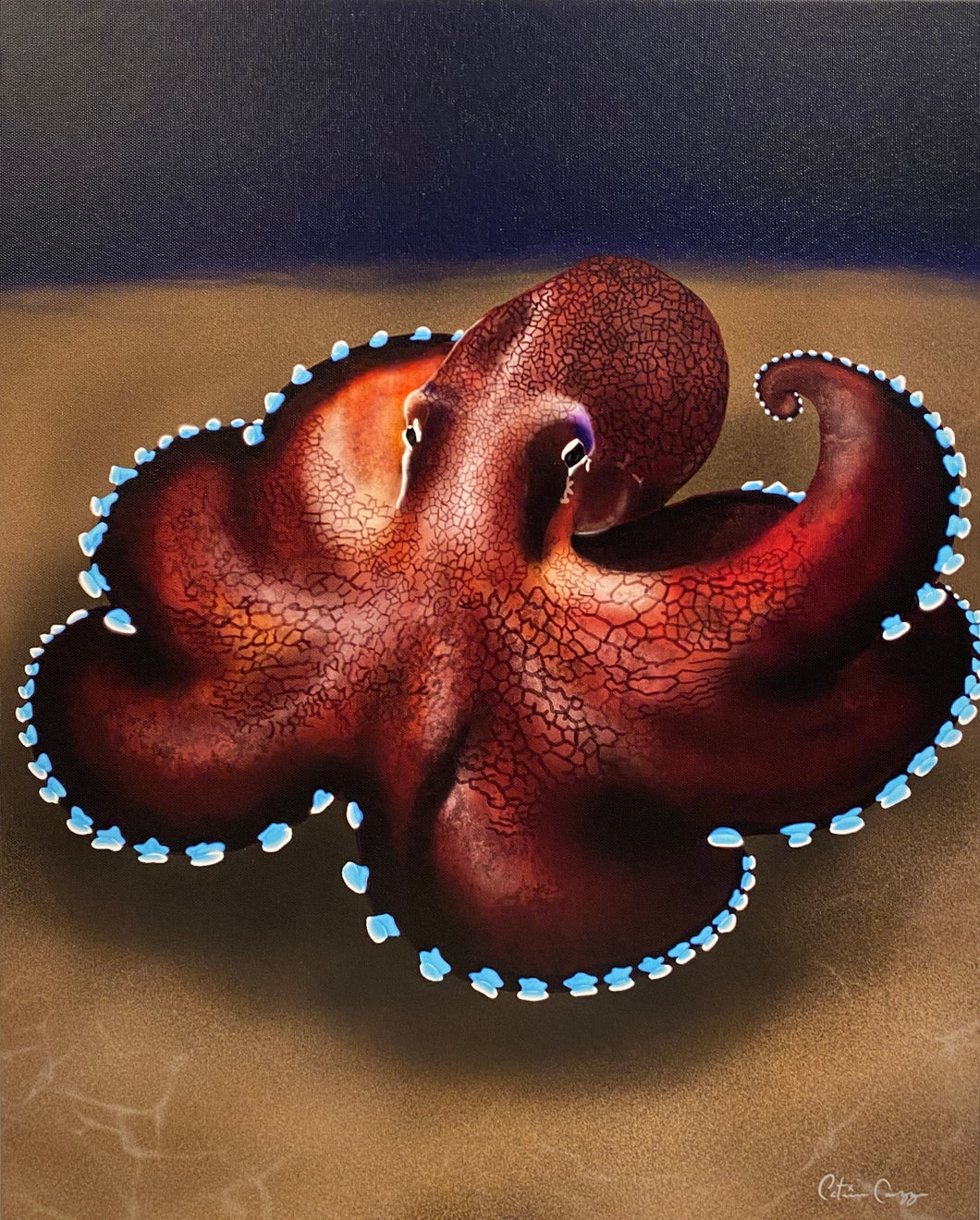 “Octopus” by Cat Corazza