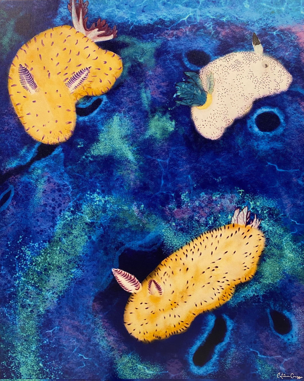“Sea Bunnies” by Cat Corazza