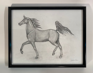 “Dappled Horse” Natasha Mullins